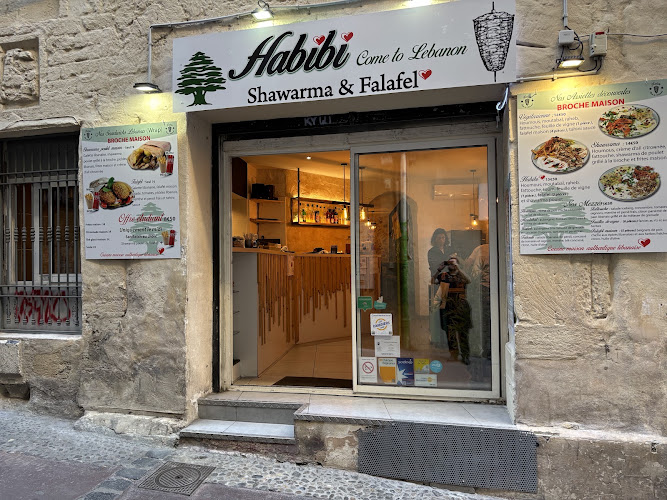 HABIBI come to Lebanon, restaurant à Montpellier